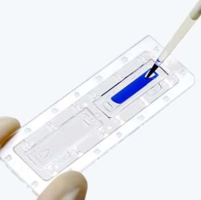 Picture for category Cell Counting Slides